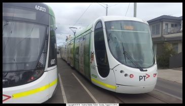 C2 Class tram 5103 in PTV livery at the East Brunswick terminus, August 2018